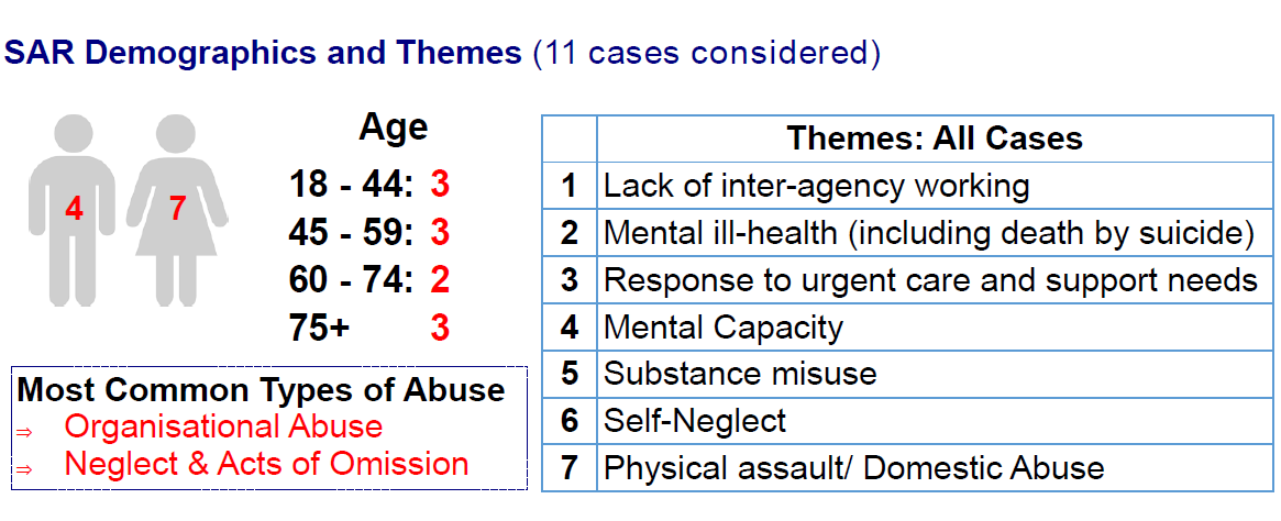 image of SAR Demographics and Themes (11 cases considered)